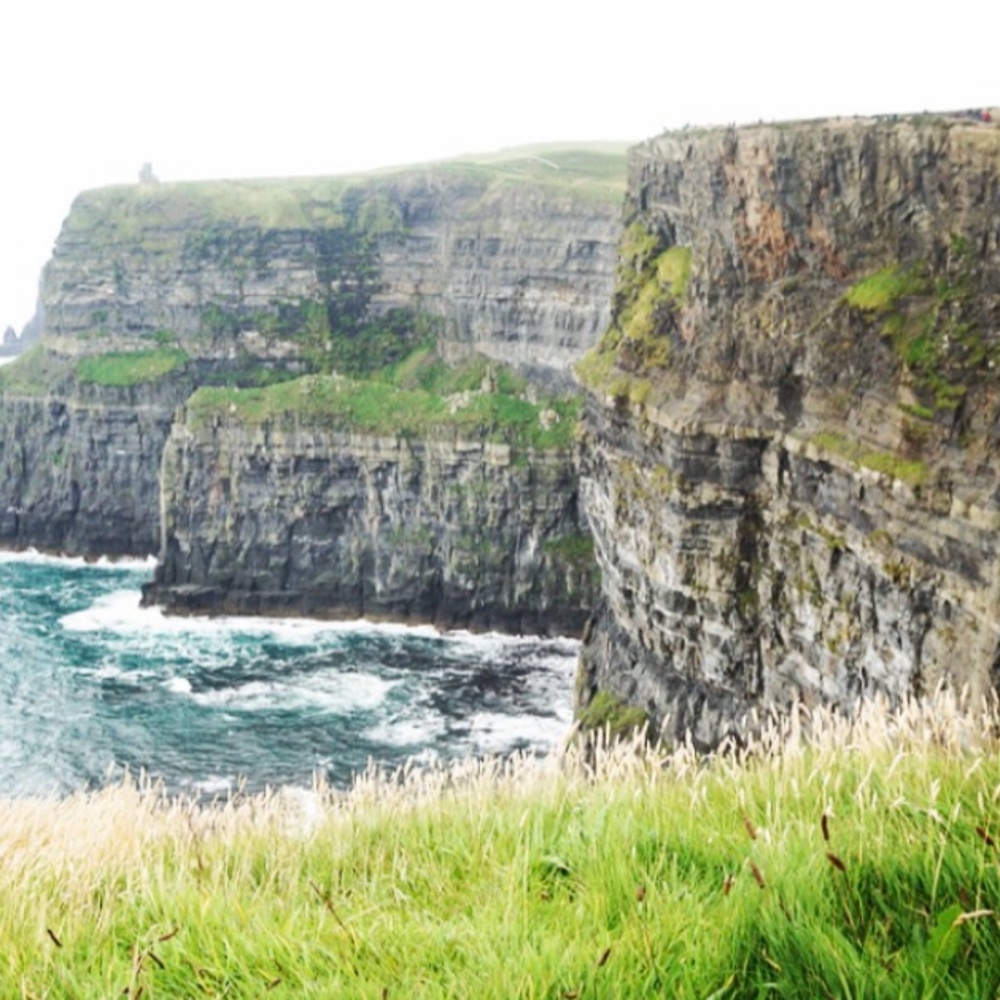 Meet your Posher, MMOcean